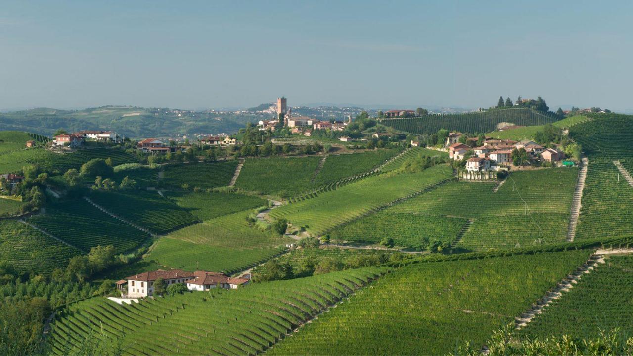Agriturismo Tre Stelle Barbaresco Exteriér fotografie