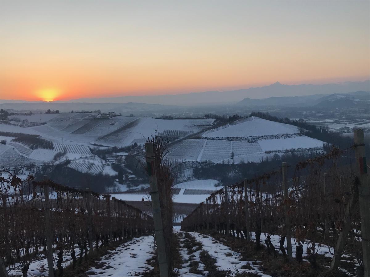 Agriturismo Tre Stelle Barbaresco Exteriér fotografie